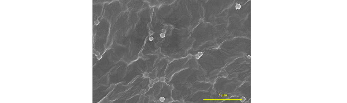 Grafen Oksit-Silica Nanokompozit